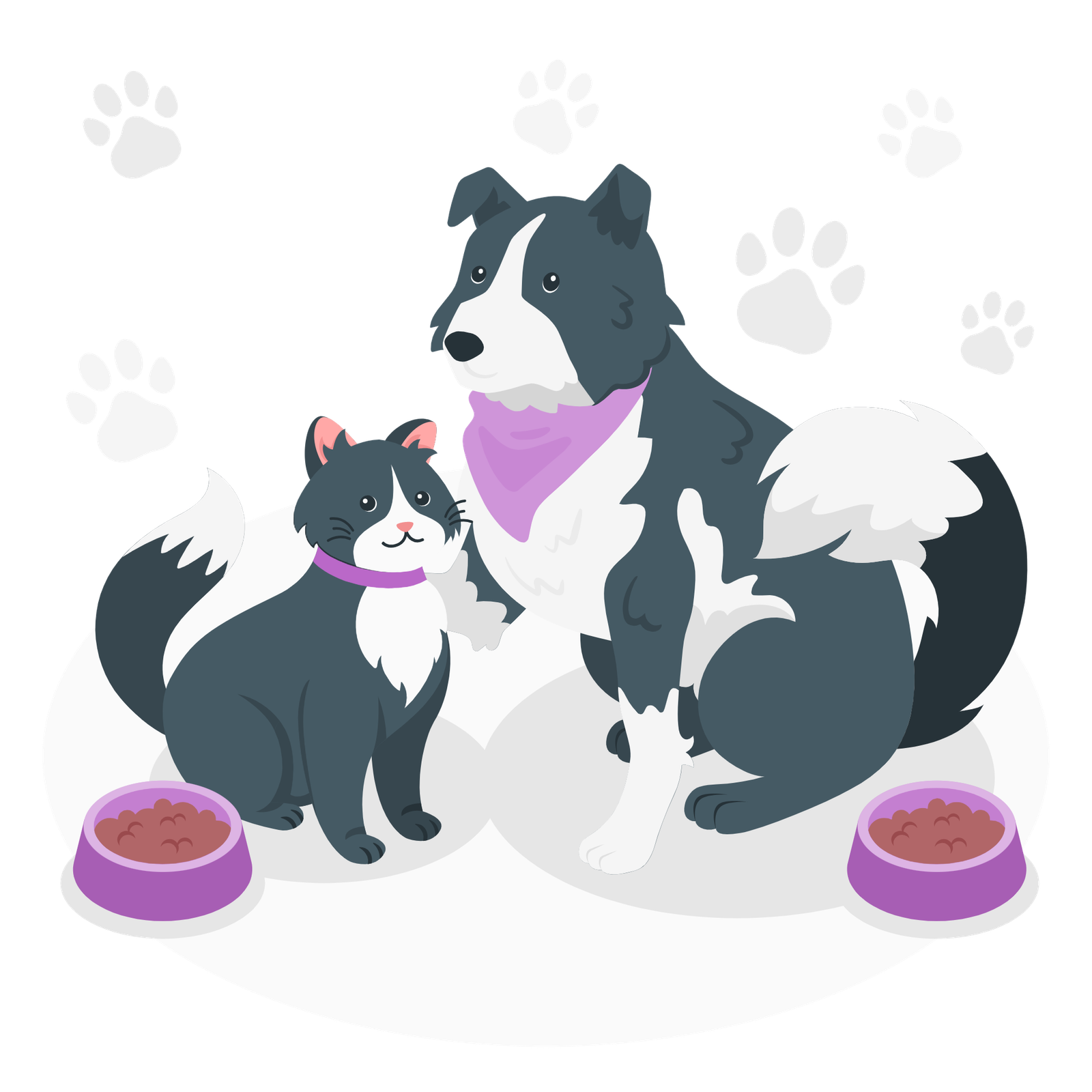 Cat and dog-amico Virtual Secretarial Assistance