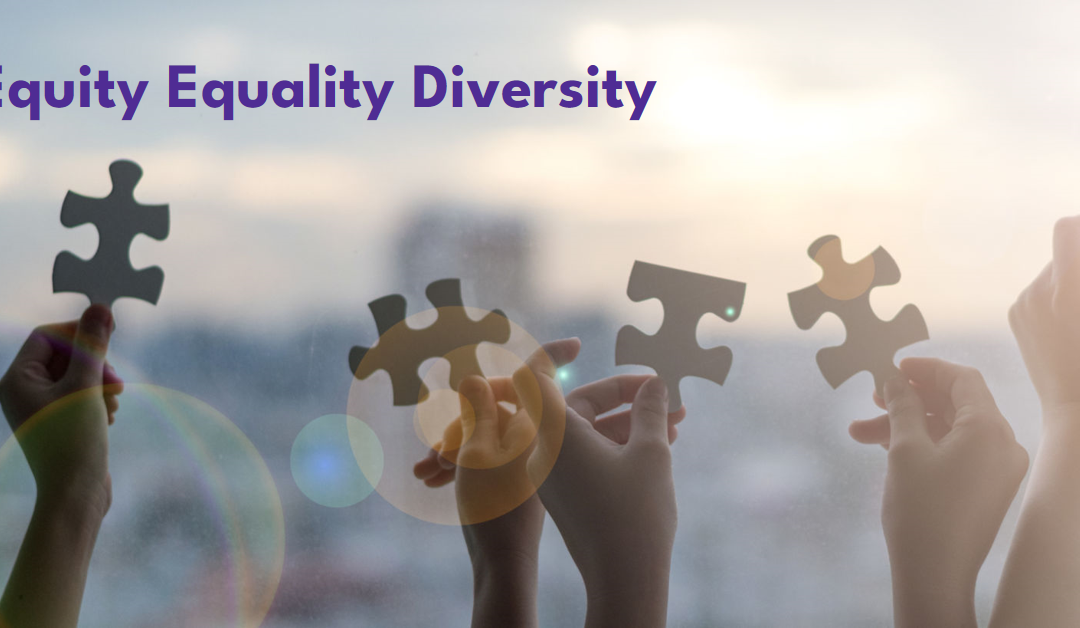 Equity Equality Diversity